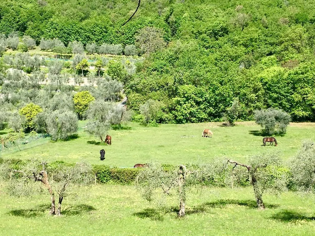 Agriturismo Cervano Toscolano Maderno Vakantieboerderij