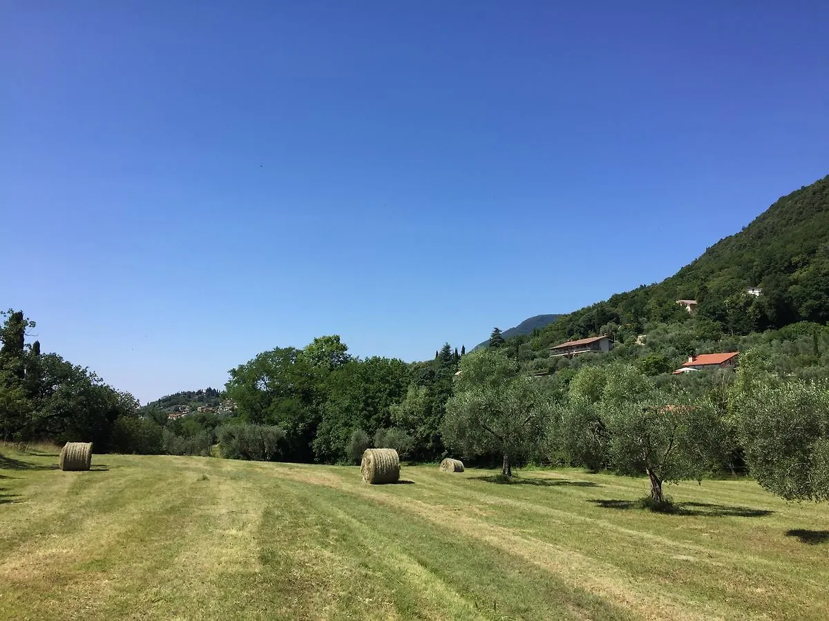 Vakantieboerderij Agriturismo Cervano Toscolano Maderno