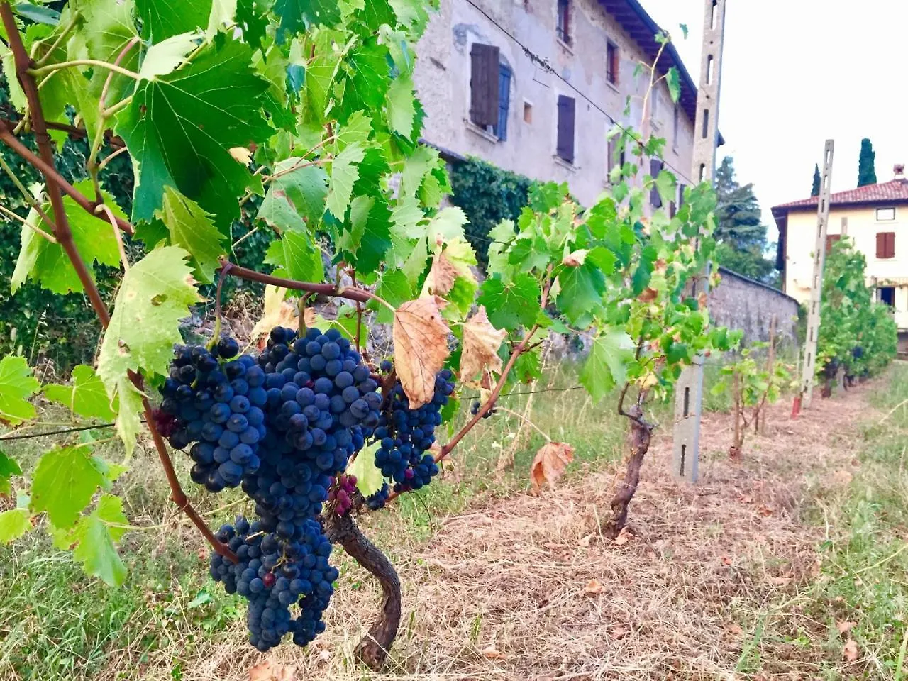 Agriturismo Cervano Villa Toscolano Maderno 0*,  Italy