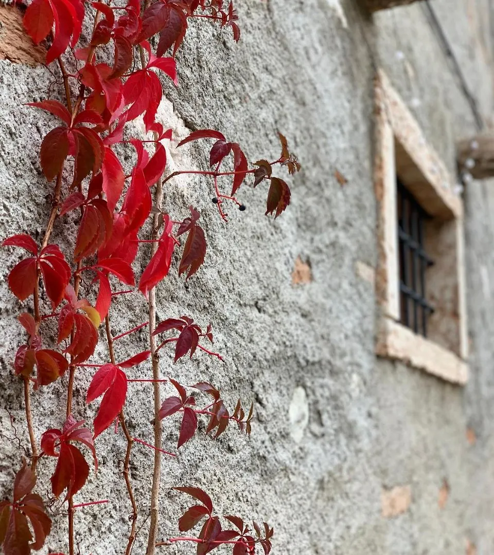 Agriturismo Cervano Villa Toscolano Maderno